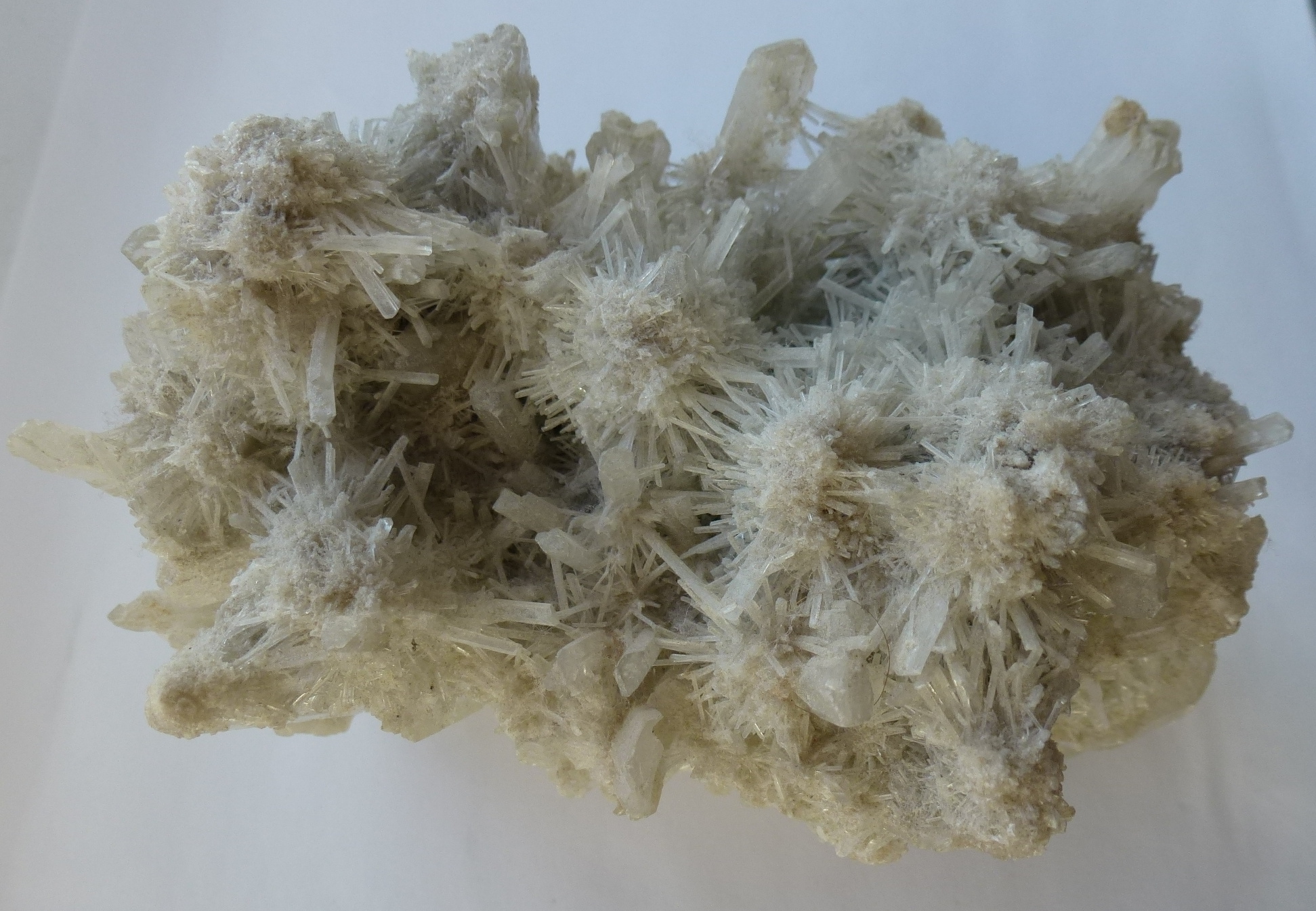 Australian gypsum with acicular crystals Rocks and Mineral Specimens